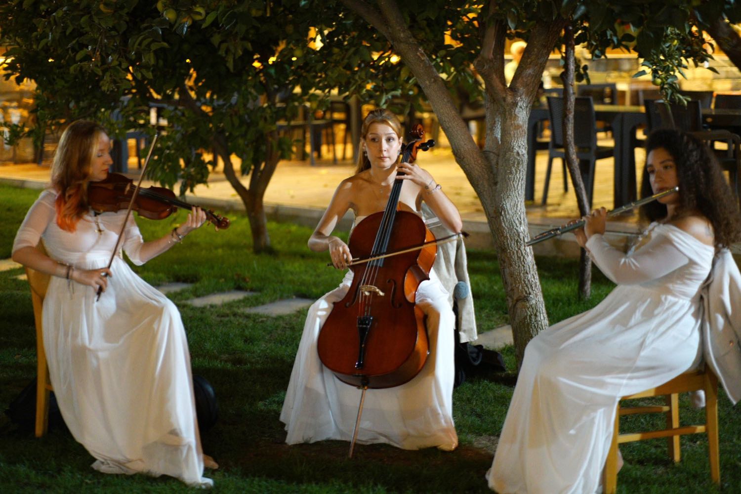 Canlı müzik